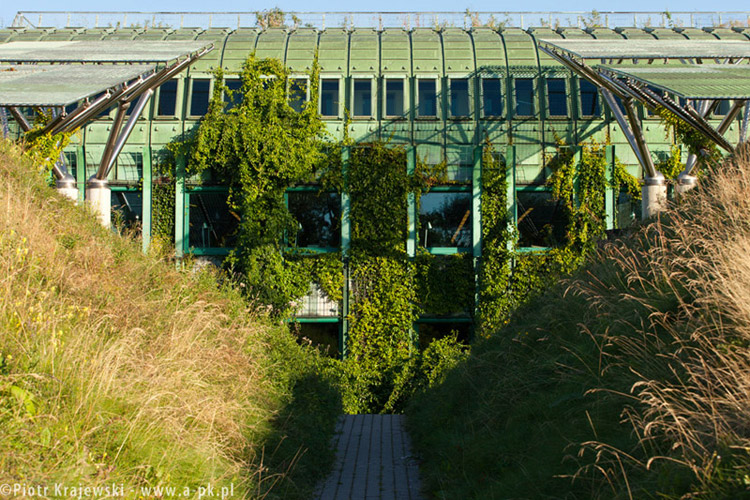 Zielona architektura