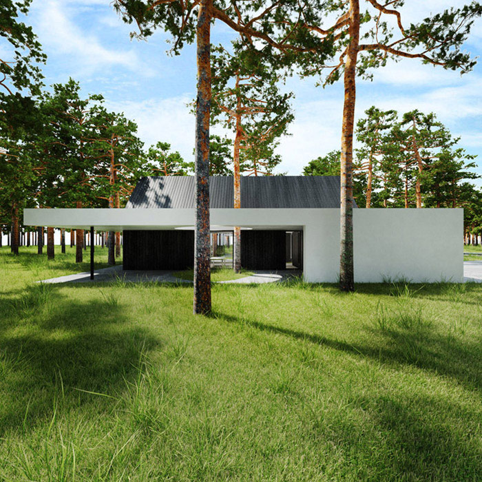 Dwa domy w lesie, Estonia. Projekt: Tamizo Architects Mateusz Stolarski