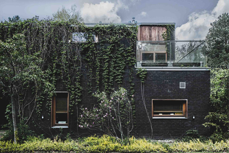 Dom jednorodzinny "Jungle House" pod Warszawą. Projekt: Pracownia Architektoniczna MAZM. Zdjęcie: Ignacy Matuszewski | minus osiem