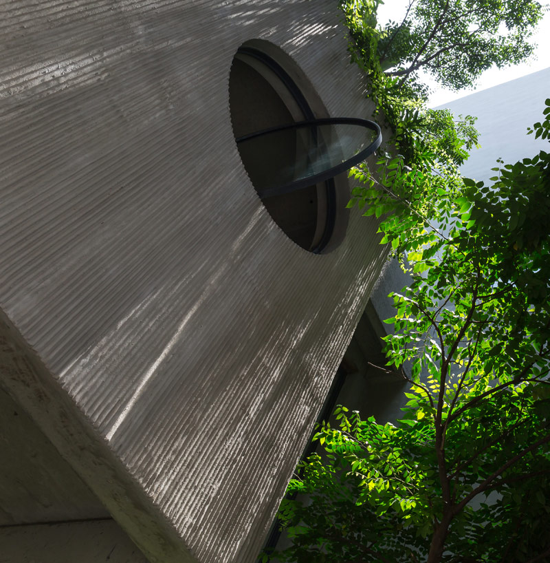 Jak zabudować działkę o szerokości 4 metrów? Pomysłowy dom wypełniony zielenią w Hanoi