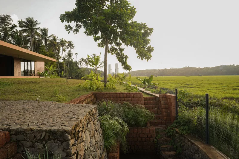Niekonwencjonalny, wtopiony w ziemię i krajobraz pól ryżowych dom w Indiach