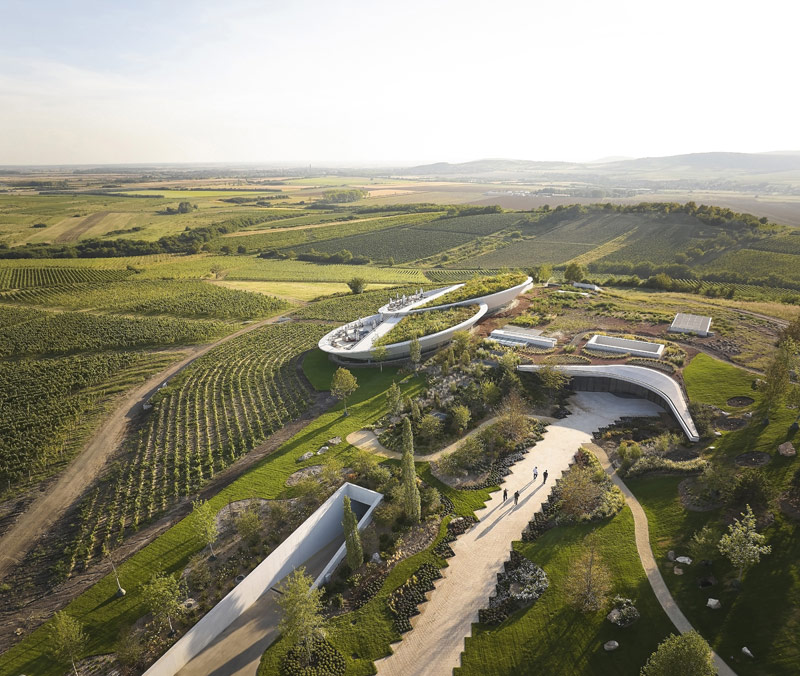 Winnica Sauska Tokaj na Węgrzech
