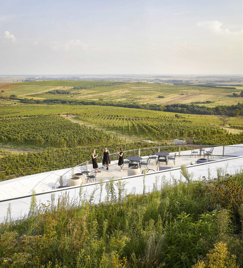 Winnica Sauska Tokaj na Węgrzech