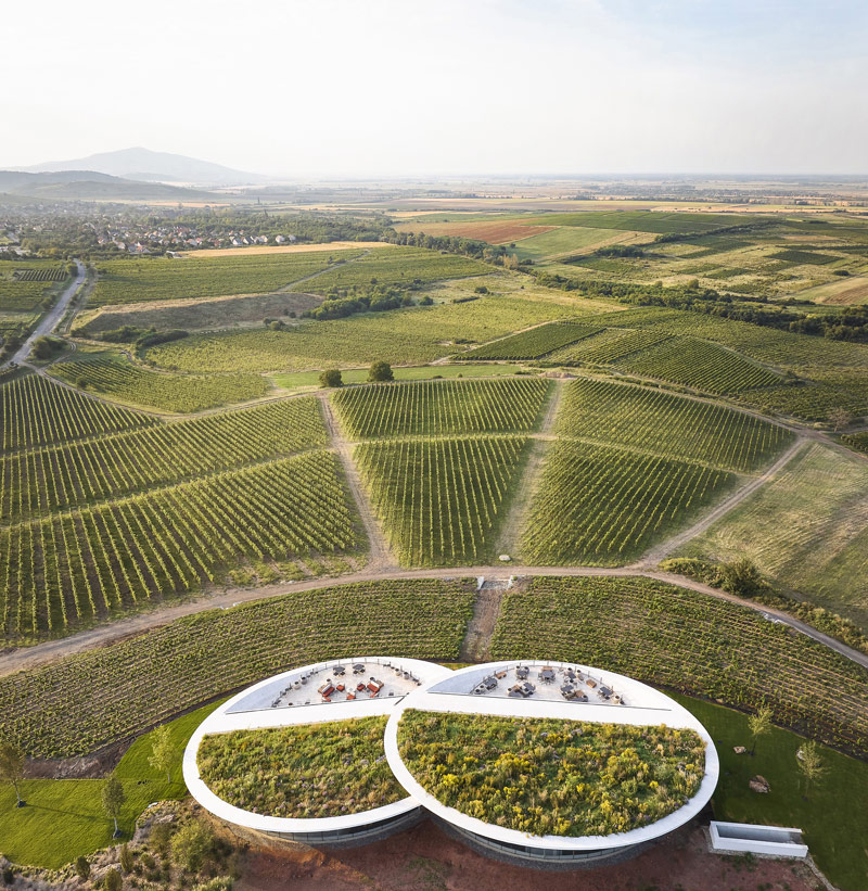 Winnica Sauska Tokaj na Węgrzech