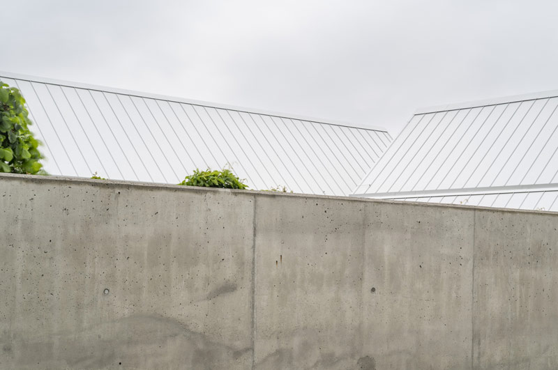Architektura spokoju: Dom na skraju sosnowego lasu