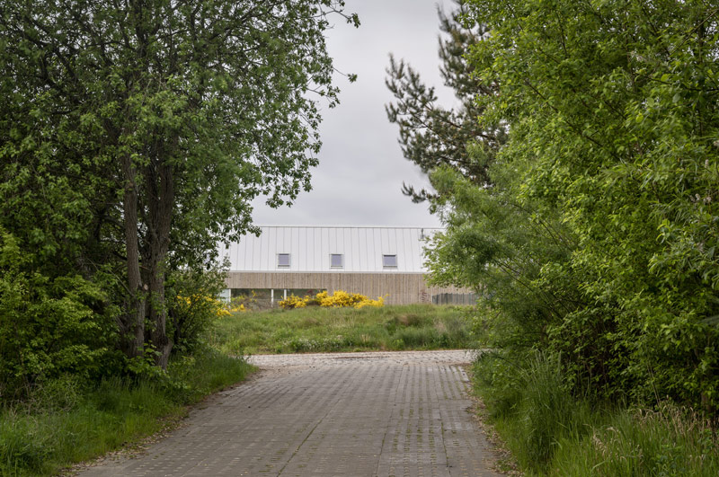 Architektura spokoju: Dom na skraju sosnowego lasu
