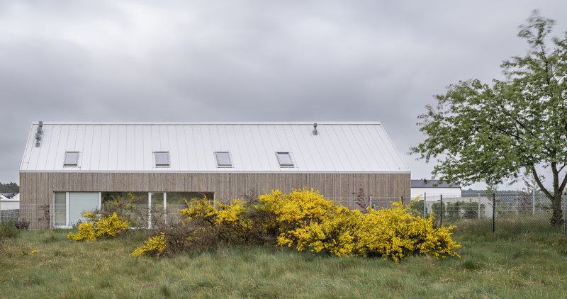Architektura spokoju: Dom na skraju sosnowego lasu