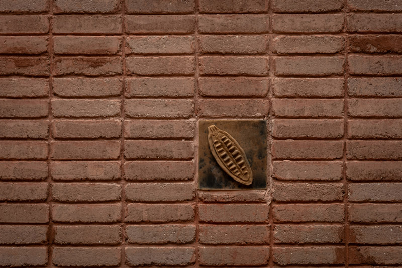 Regionalne Muzeum Kakao w Meksyku