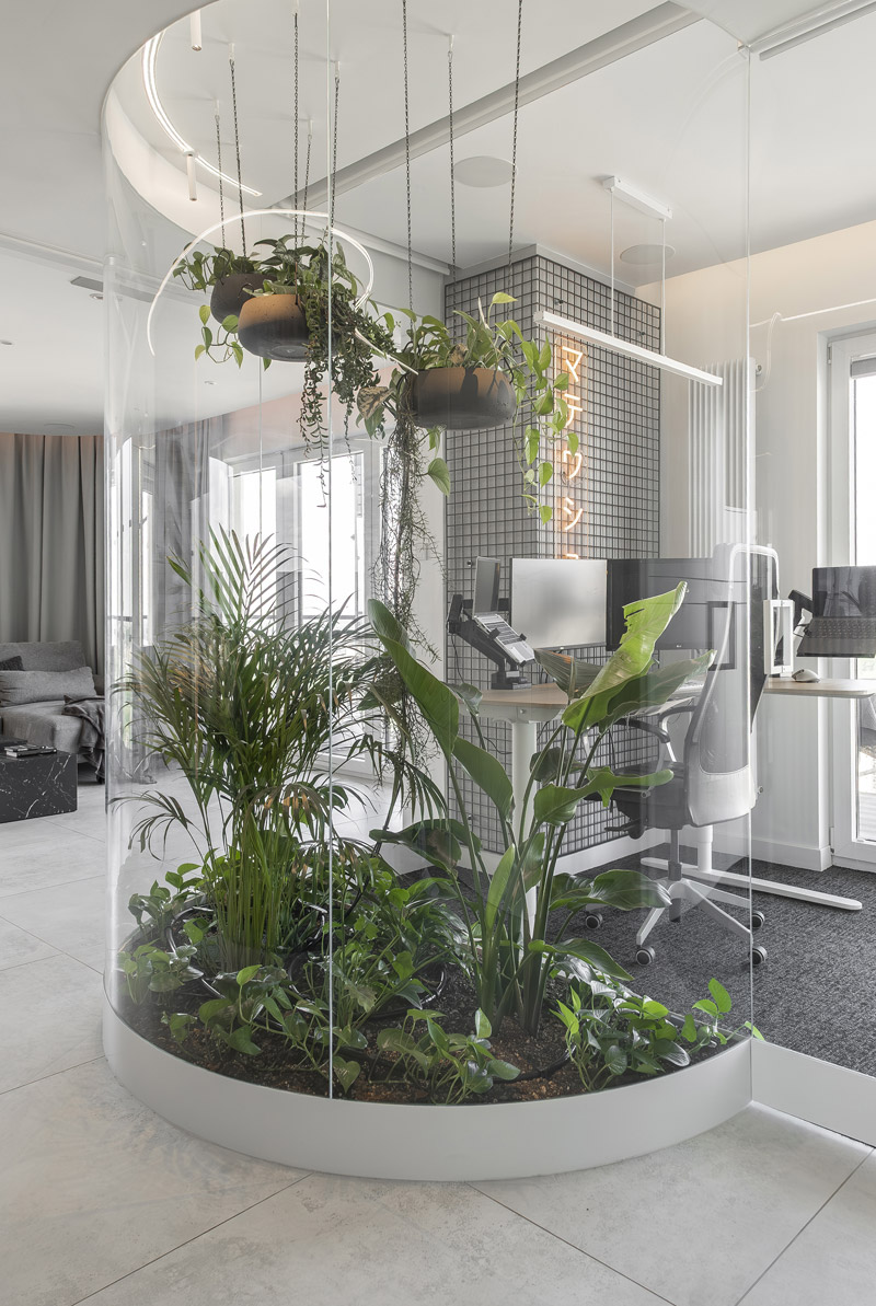 Apartament z palmiarnią