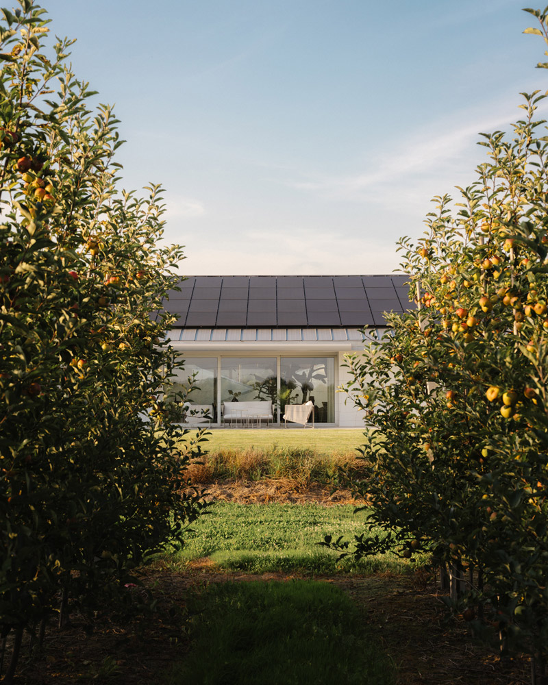 Slope House: Dom o nietypowej formie